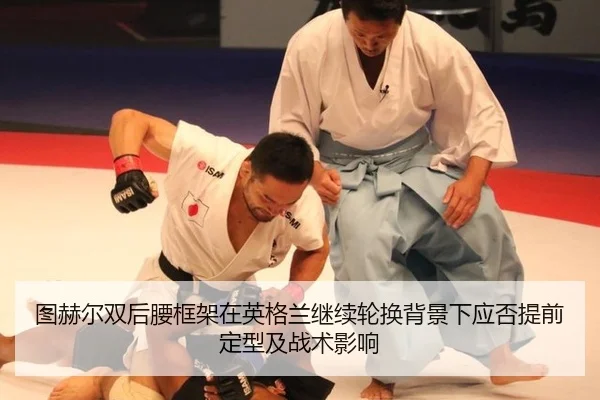 tu-he-er-shuang-hou-yao-kuang-jia-zai-ying-ge-lan-ji-xu-lun-huan-bei-jing-xia-ying-fou-ti-qian-ding-xing-ji-zhan-shu-2-717.jpg